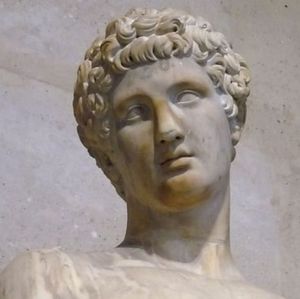 Meet your Posher, Terry